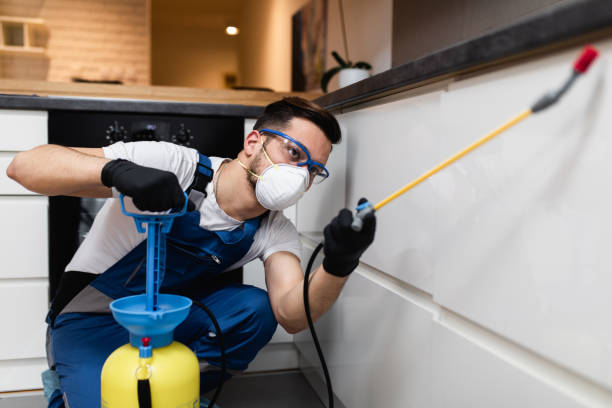 Best Wildlife Control Services  in Owensboro, KY
