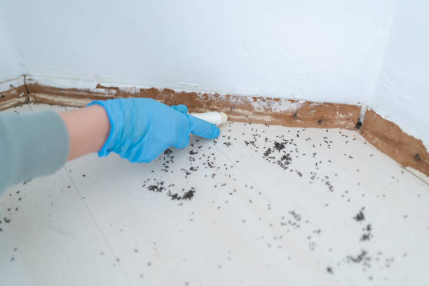Best Pest Prevention Services  in Owensboro, KY